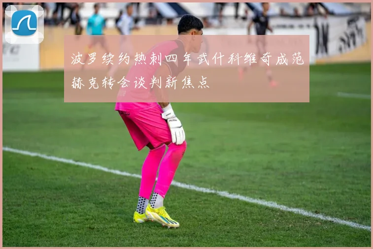 波罗续约热刺四年武什科维奇成范赫克转会谈判新焦点